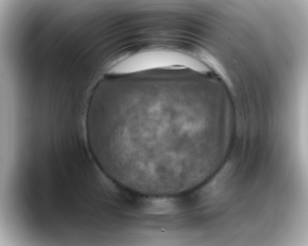 X0000088481041200706051357