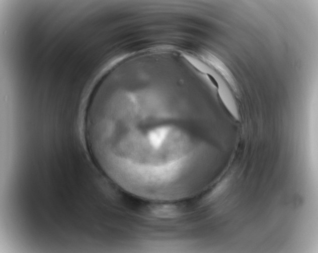 X0000088481043200706051357