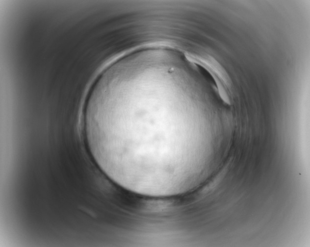 X0000088481044200706051357