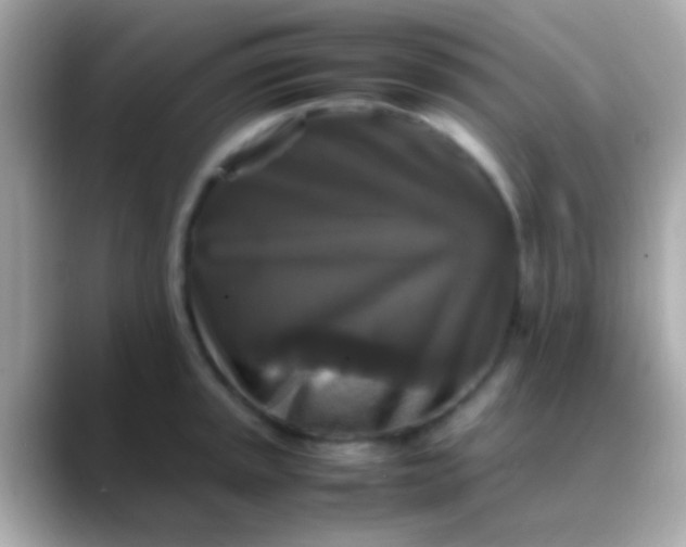 X0000088481045200706051357
