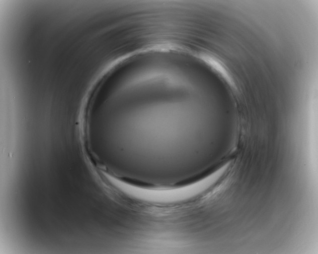 X0000088481046200706051357
