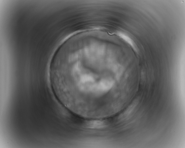 X0000088481047200706051357