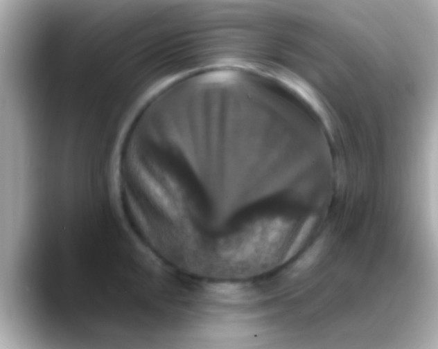 X0000088481048200706051357