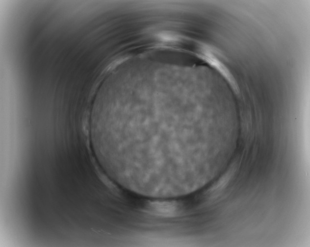 X0000088481049200706051357