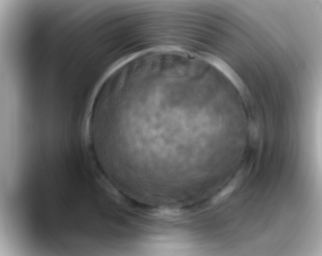 X0000088481052200706051357