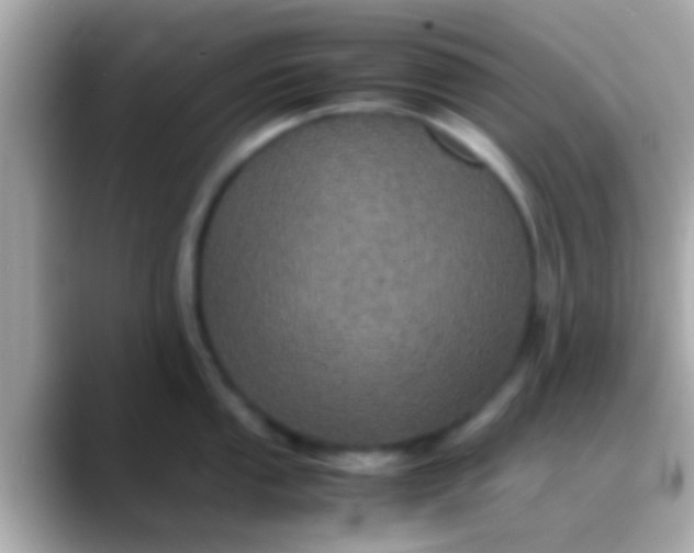 X0000088481053200706051357