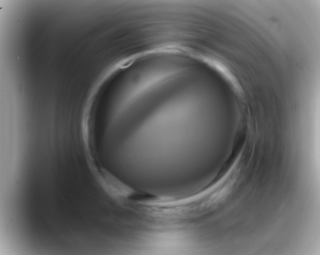 X0000088481054200706051357
