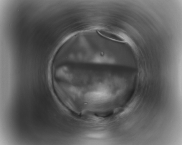 X0000088481055200706051357