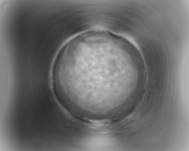 X0000088481056200706051357