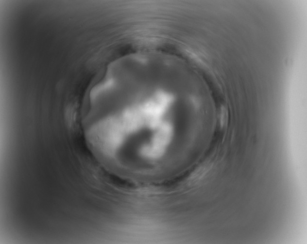 X0000088481059200706051356