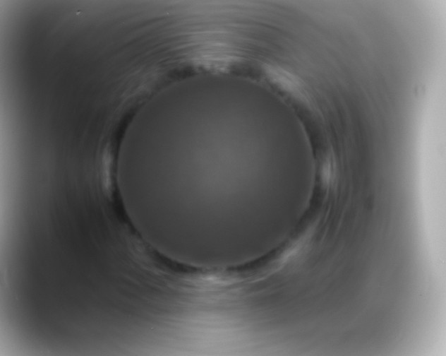 X0000088481060200706051356