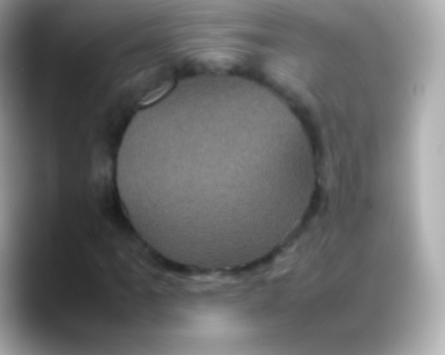 X0000088481061200706051356
