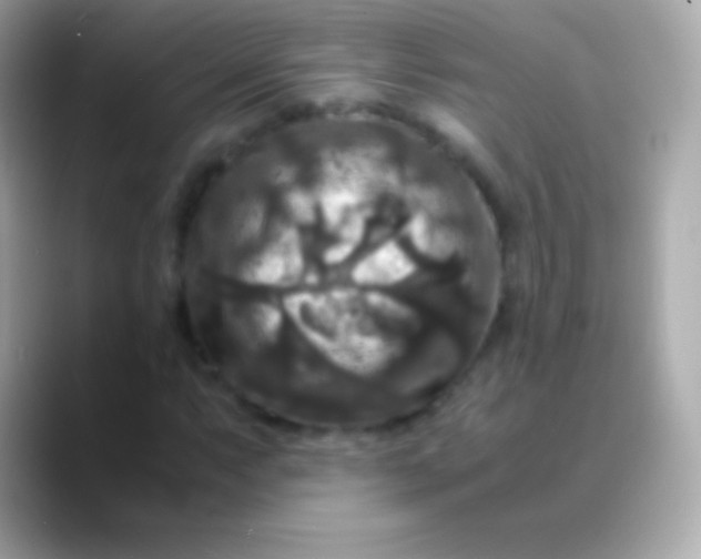 X0000088481063200706051356