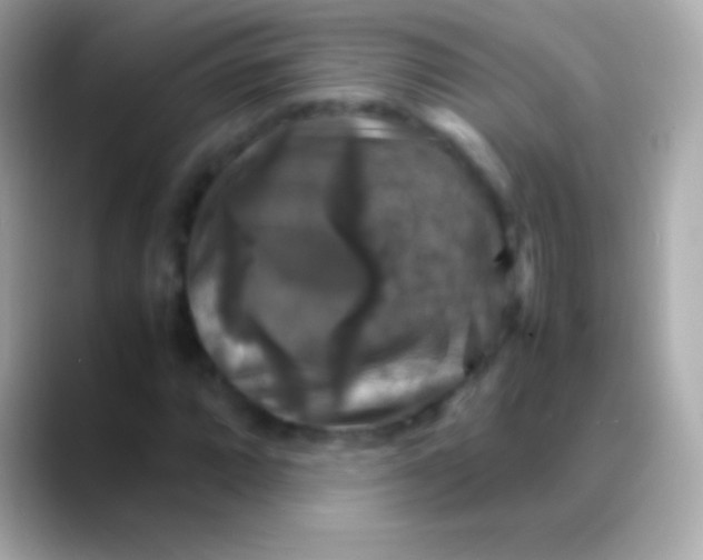 X0000088481064200706051356
