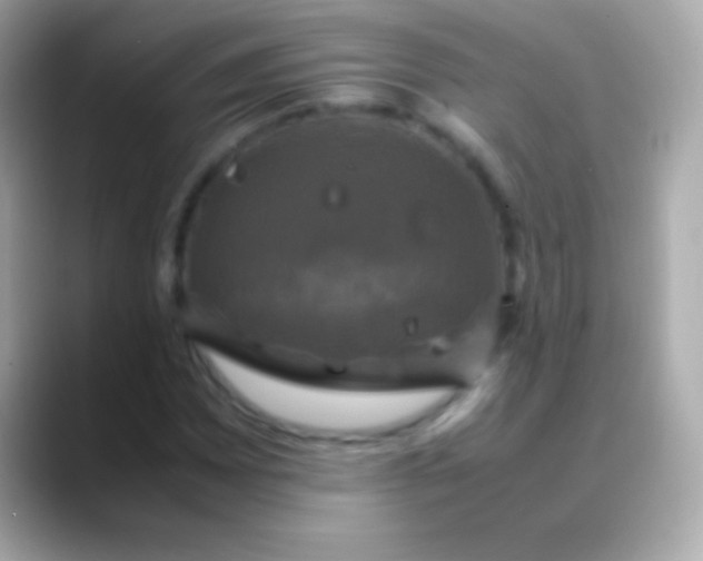 X0000088481065200706051356