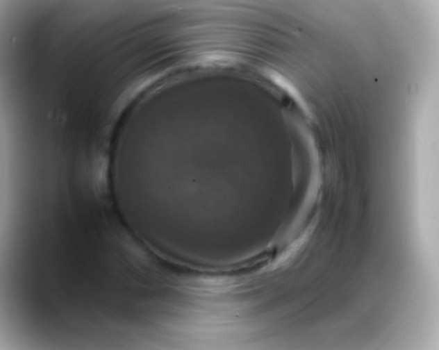 X0000088481066200706051356