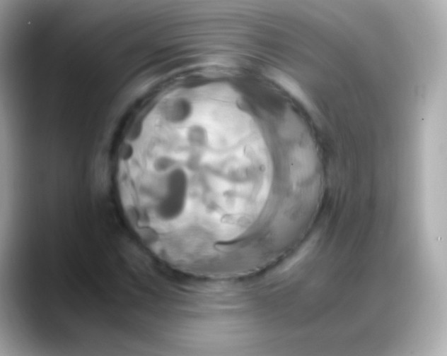X0000088481067200706051356