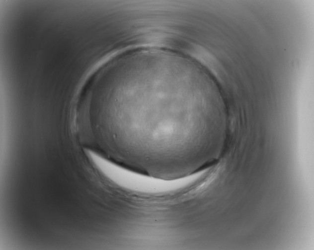 X0000088481069200706051356