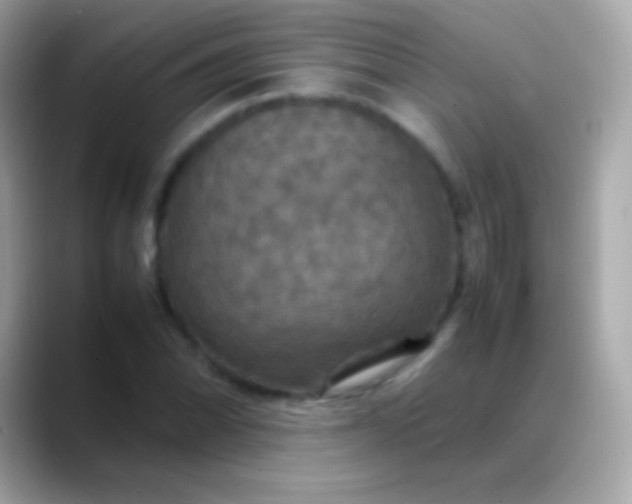 X0000088481070200706051356
