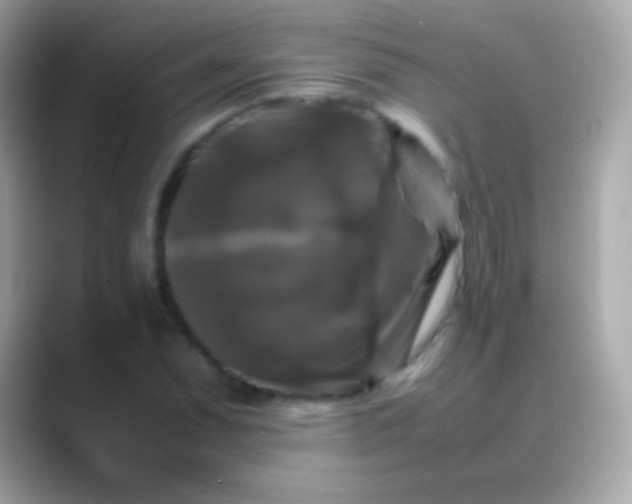 X0000088481071200706051356
