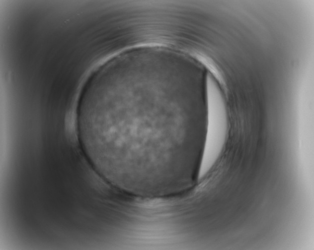 X0000088481072200706051356