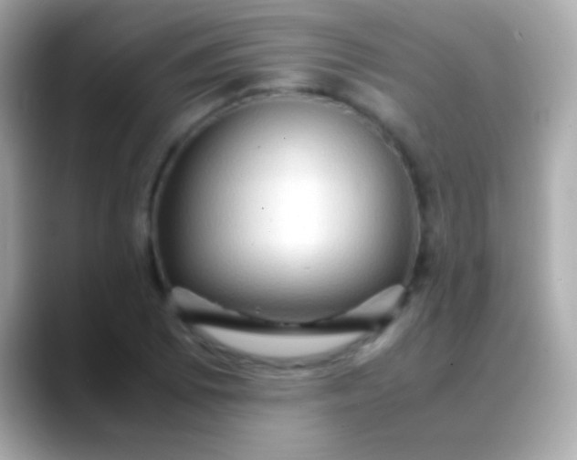 X0000088481073200706051356