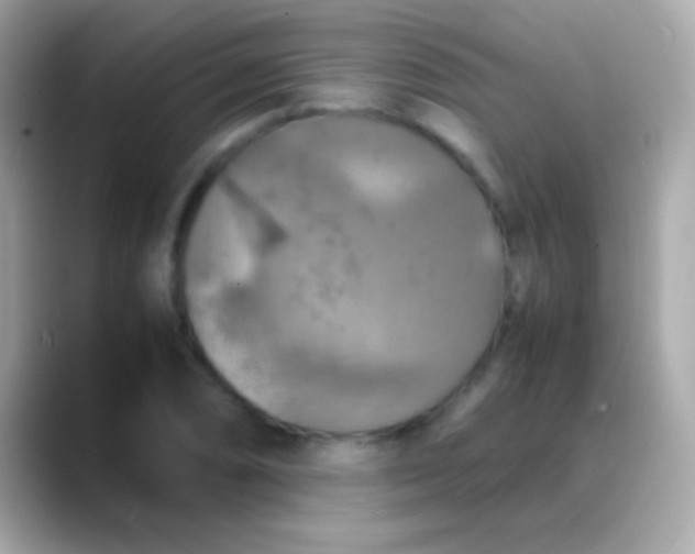 X0000088481074200706051356