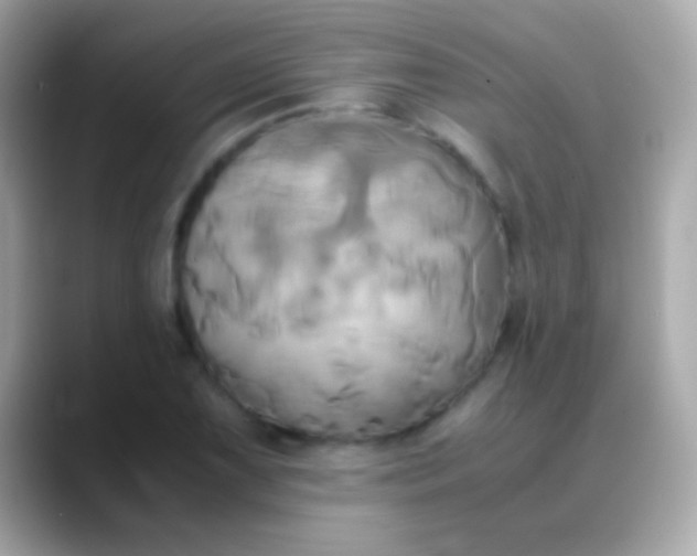 X0000088481075200706051356