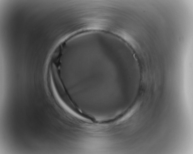 X0000088481077200706051356