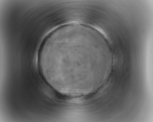 X0000088481078200706051356