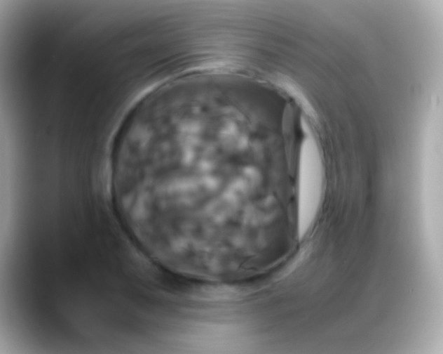 X0000088481079200706051356