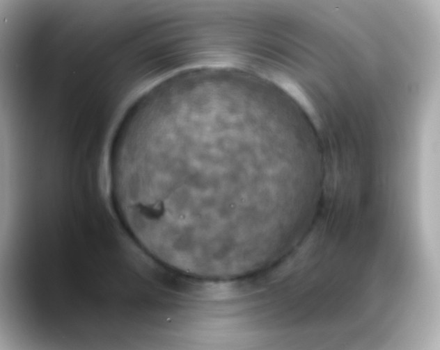 X0000088481080200706051356