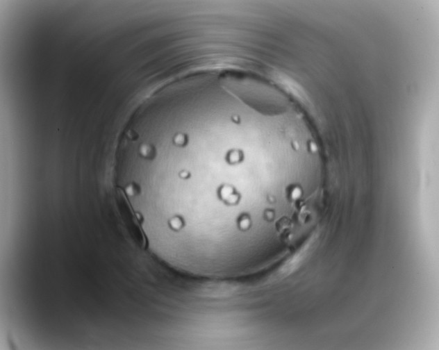 X0000088481081200706051356