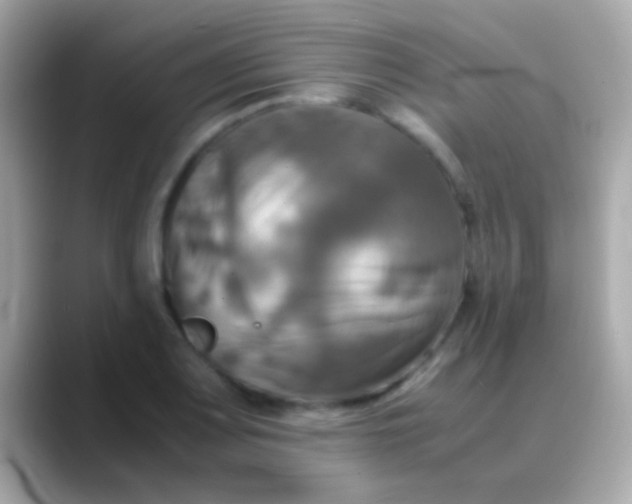 X0000088481083200706051356