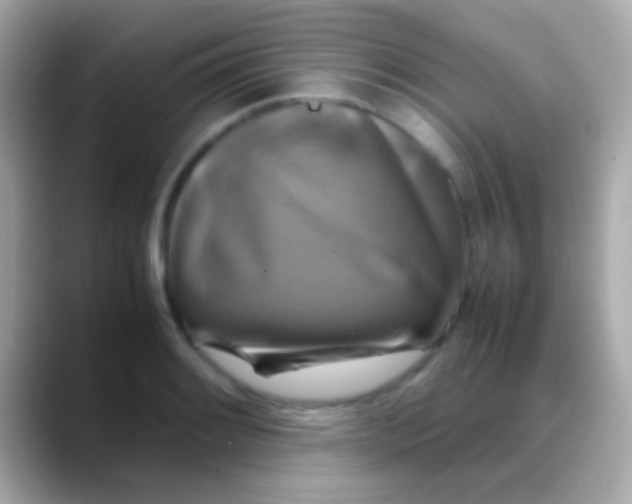X0000088481084200706051356
