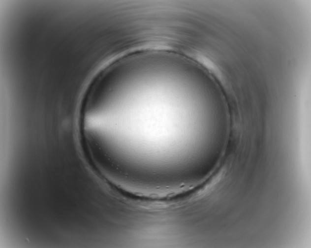 X0000088481085200706051356