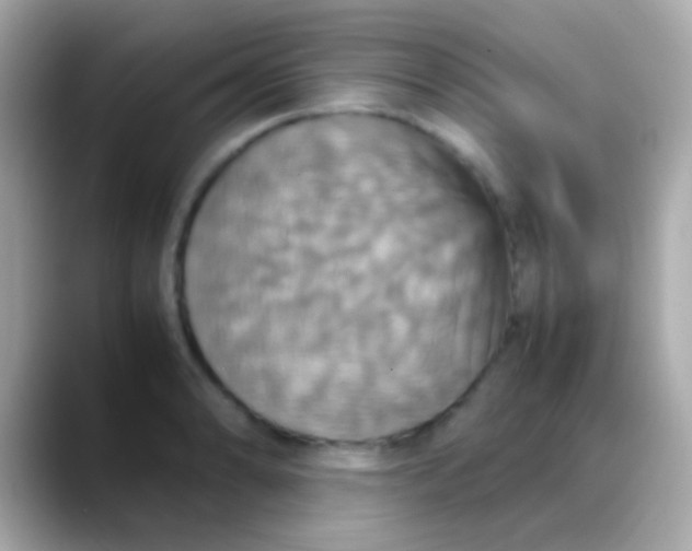 X0000088481086200706051356