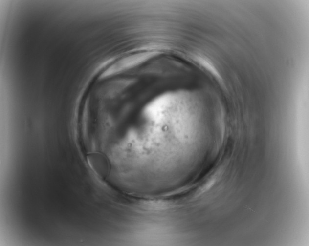 X0000088481087200706051356