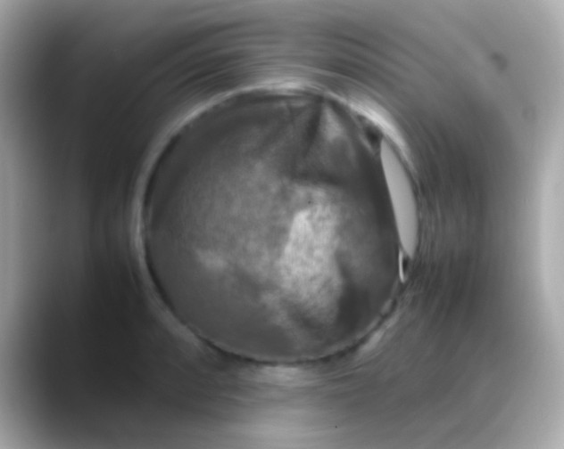 X0000088481088200706051356