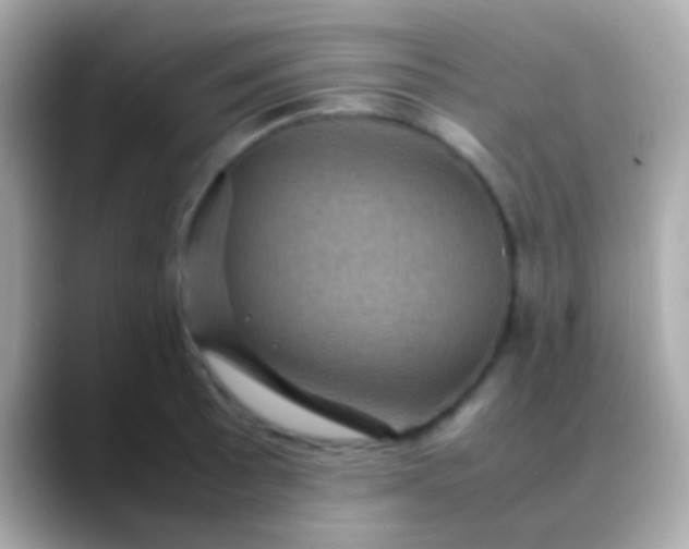 X0000088481089200706051356