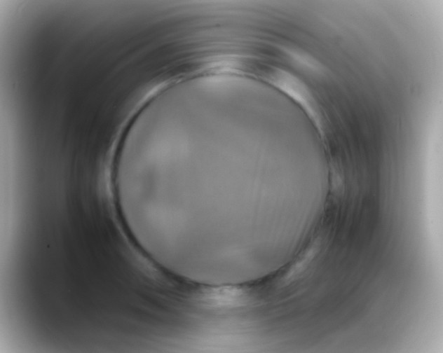 X0000088481090200706051356