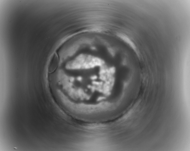 X0000088481091200706051356