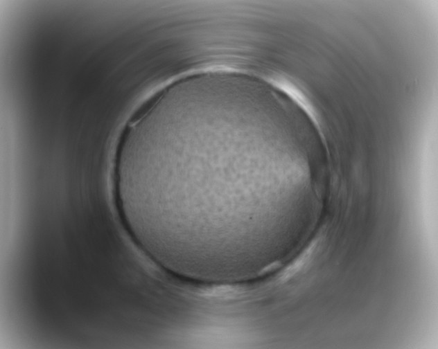 X0000088481093200706051356