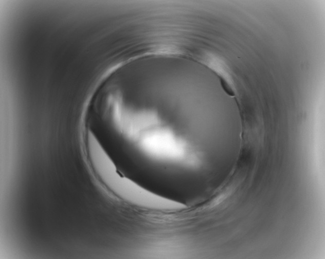X0000088481095200706051356