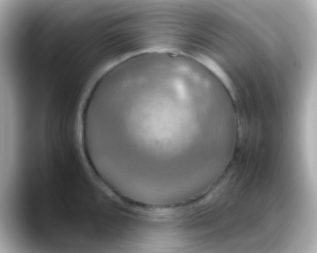 X0000088481096200706051356