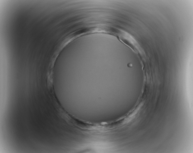 X0000088481097200706051356