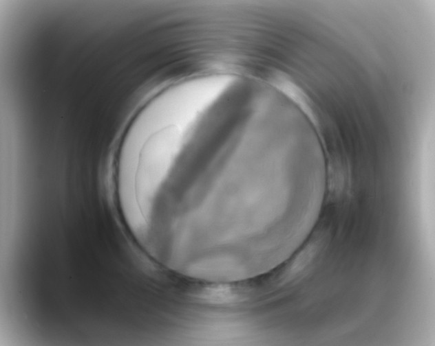 X0000088481098200706051356