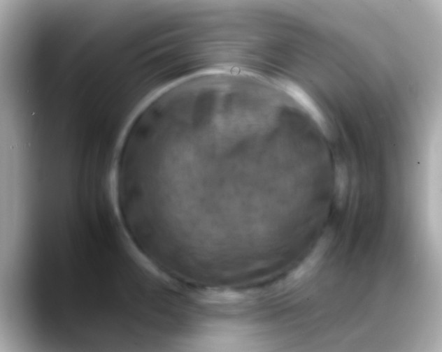 X0000088481100200706051356
