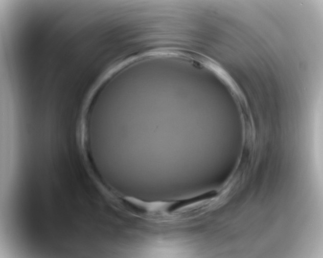 X0000088481101200706051356