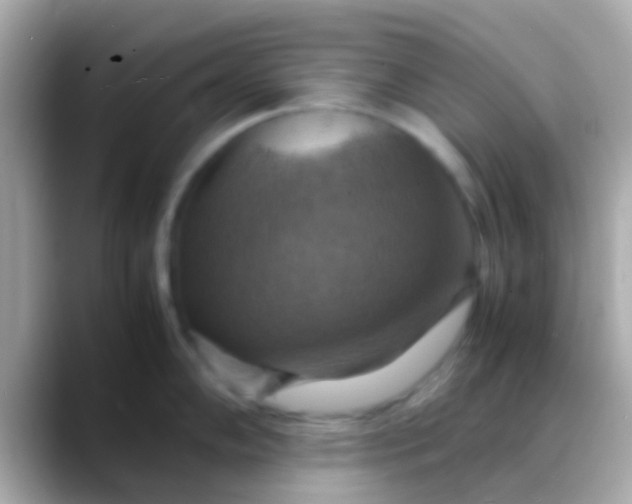 X0000088481102200706051356